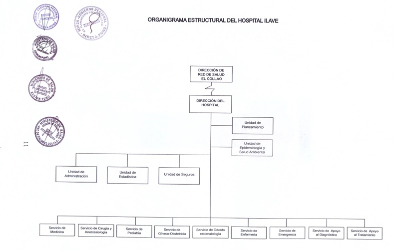 Organigrama Hospital II-1 Ilave